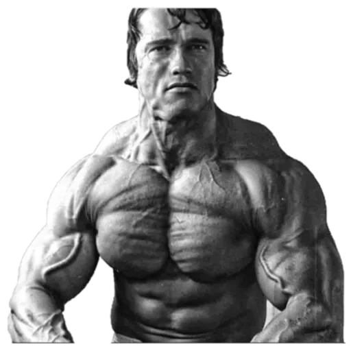 Arnold, Schwarzy sticker pack cover
